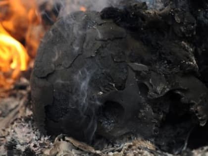 Обезображенные трупы двух жителей Вологодской области, найденные накануне, заинтересовали следователей СК РФ