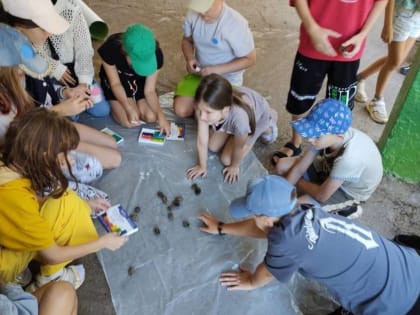 В «Лесной сказке» стартовала заключительная смена 35-го юбилейного летнего сезона