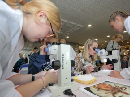 В Череповце в пятый раз пройдет научный фестиваль для всех возрастов