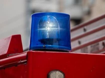 Пожар в вологодском СНТ «Рассвет-2»: погибла женщина