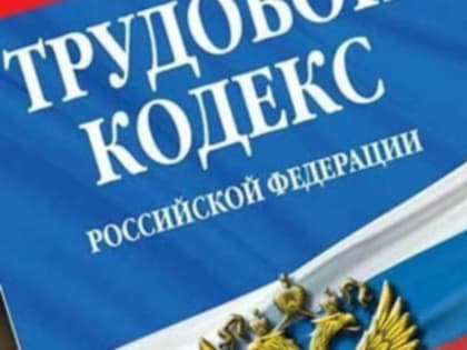 Служба занятости разъясняет: подросток на рынке труда