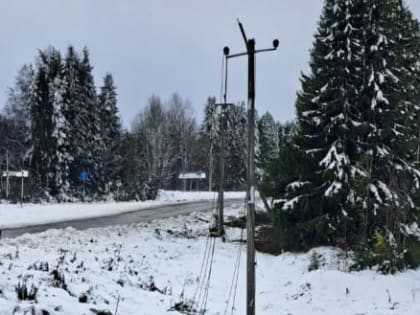 В Вологодской области без электричества остаются пять сел и 400 человек