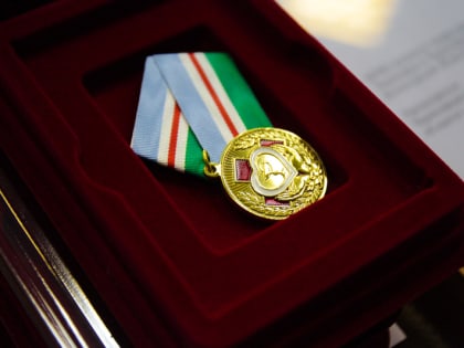 Череповчан наградили за помощь бойцам СВО