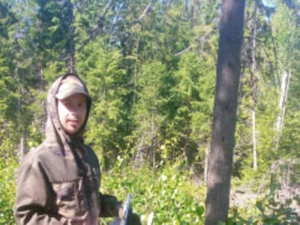 Вологодские студенты продолжают проходить практику в лесах региона