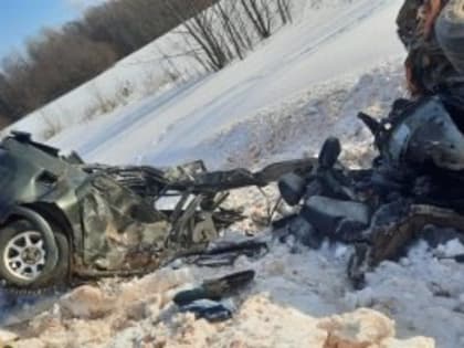 18-летний водитель погиб на трассе в Вологодской области