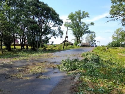 В Вологодской области из-за непогоды остались без света несколько населенных пунктов