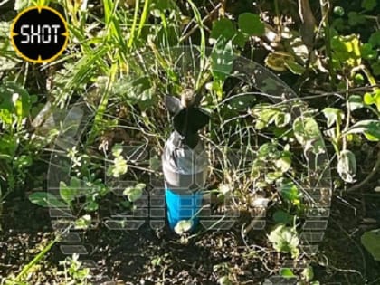 В Подмосковье упал управляемый БПЛА, и были обнаружены предметы, похожие на СВУ для сброса гранат с дрона