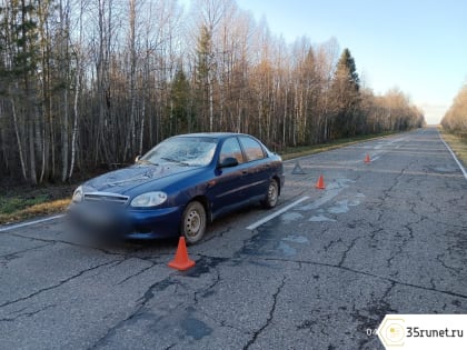 В Усть-Кубинском округе водитель легковушки устроил ДТП с лосем