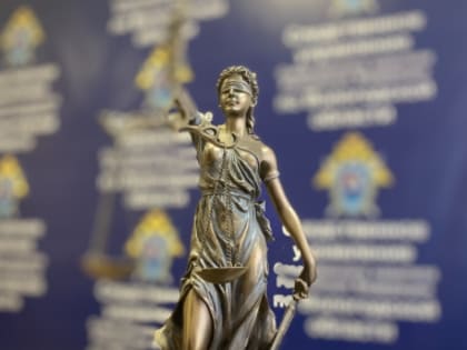 Группа вологжан признана виновной в незаконном проведении азартных игр