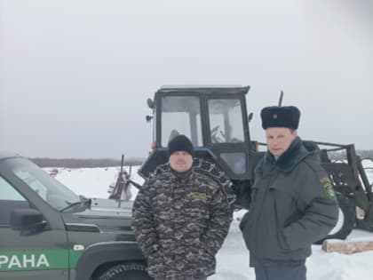 На территории лесного фонда региона продолжается операция 