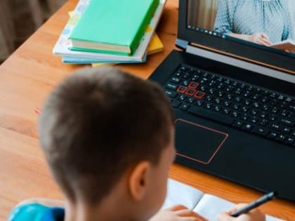 Володин предложил ограничить применение дистанционного образования в российских школах