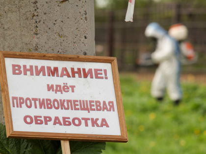 В Череповце клещи стали не так активны из-за потепления