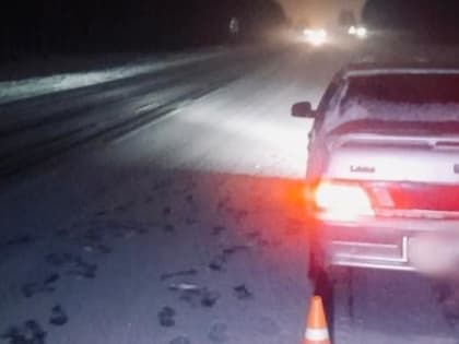 Под Вытегрой девочка попала под колеса авто