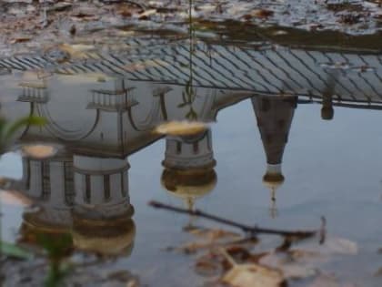 Относительно теплые выходные без значительных осадков и заморозков прогнозируют на Вологодчине