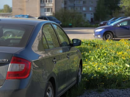 Новые инициативы администрации Череповца