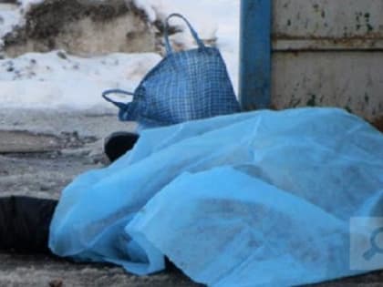 Родственники трагически погибшей 59-летней вологжанки ищут свидетелей