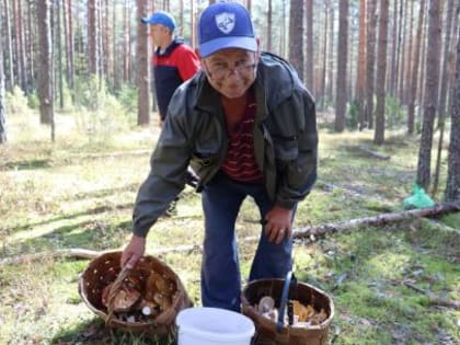 Проект «Моя малая родина» в Череповце: погружение в культуру и традиции