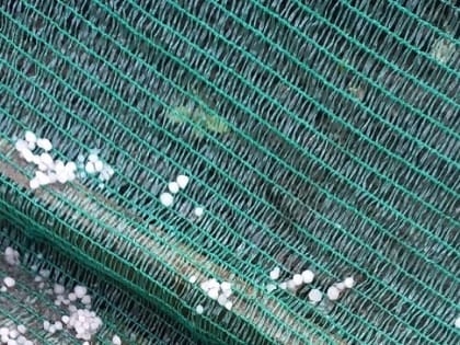 Крупный град обрушился на северо-восток Вологодской области