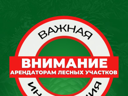 Информация об определении арендной платы на 2023 год с учетом понижающего коэффициента, учитывающего фактическое освоение арендуемого лесного участка