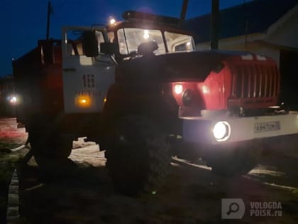 В Вологодской области бессовестные подростки устроили лесной пожар