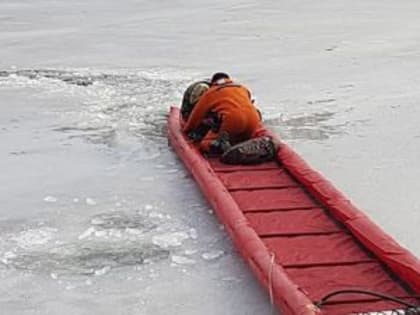 58-летний лыжник утонул в реке Андоме