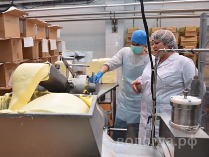 На 20 % увеличилось производство сливочного масла на территории Вологодской области