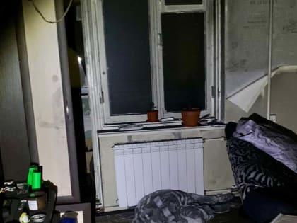 В Череповце выяснят обстоятельства гибели на пожаре двух человек