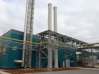 Самое крупное в современной России производство фанеры открылось на Вологодчине