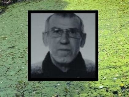 Стали известны подробности трагической гибели 70-летнего мужчины в Вологде: труп нашли в частном пруду