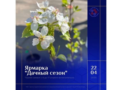 «Дачный сезон» наступит на пл. Революции в Вологде