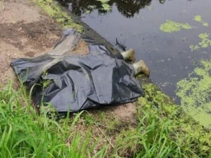 Мучительную смерть принял 73-летний житель Вологодской области рядом со своей лодкой