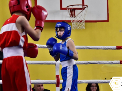 Более ста спортсменов вышли на ринг в вологодской школе № 25