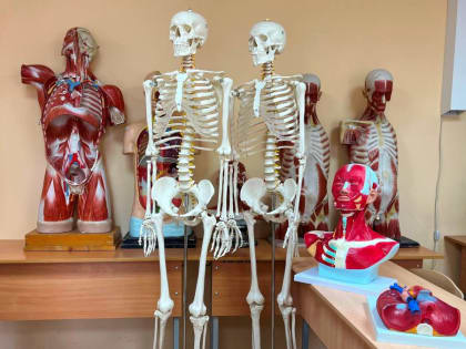 Новое оборудование