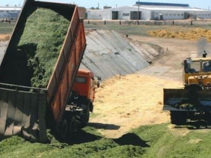 Вологодский суд разбирался, кому отдать силосные траншеи