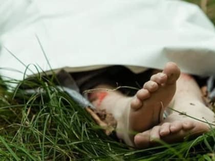 Коротко о качестве образования в Вологодской области: 17-летний подросток, наплевав на физику, умер в мучениях на руках родных