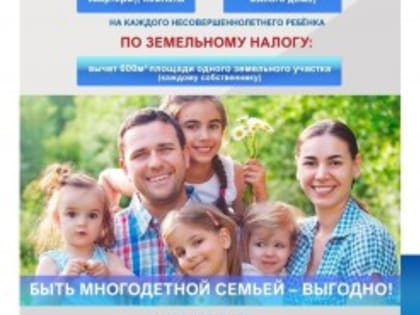 Дополнительные налоговые льготы для многодетных семей