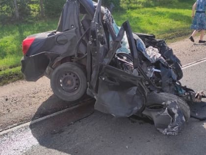 Мужчина и 6-летний ребенок погибли в ДТП с грузовиком в Вологодской области