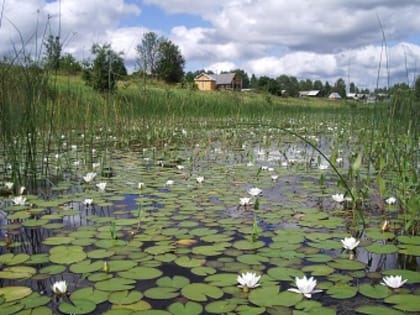 Конкурс деревень