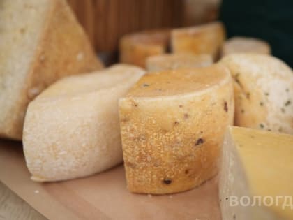 Ярмарка натуральных продуктов в Вологде