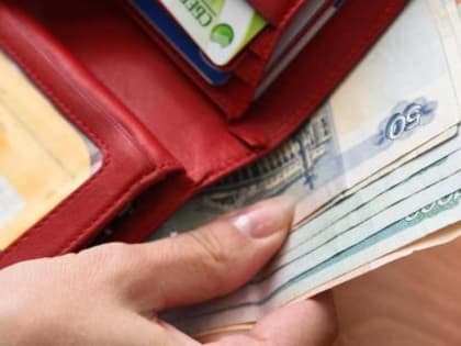 Более 20 тысяч вологодских семей получили пособия на детей от рождения и до 17 лет с начала года