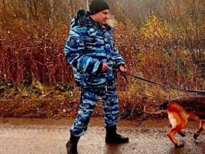 Двое 7-летних вологжан доигрались: их искала полиция с собакой по всей Вологде
