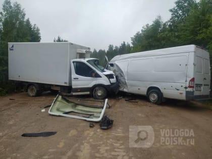 Летний «поцелуй» двух грузовых автомобилей на трассе в Вологодской области едва не стоил жизни 17-летнему юноше