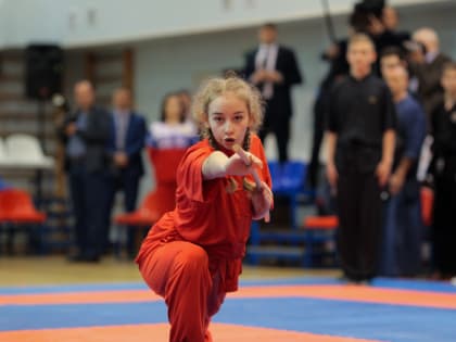 В&nbsp;Вологодской области будут поддерживать боевые искусства