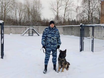 В Череповце кинолог и его овчарка за сутки нашли троих пропавших детей