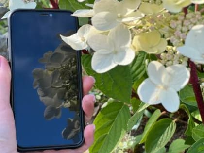 На Вологодчине выбирают населенные пункты, в которых появится высокоскоростной интернет