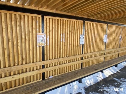 Петербурженку поймали на расклейке незаконной рекламы в Череповце