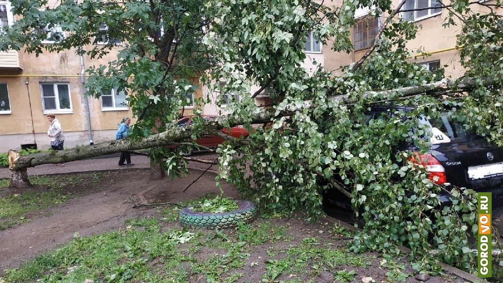 Упала дерева во дворе. Дерево во дворе дома. Дерево упало на дом. Дерево упало на частный дом. Упал во дворе.