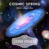 SILVER BRANCH COSMIC SPRING 6/ - 4 Pack