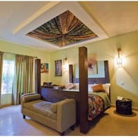 Palm Suite 1