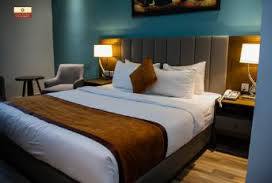 Signature Suite 1